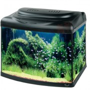 Hailea "A50R" Чёрный, 50 л