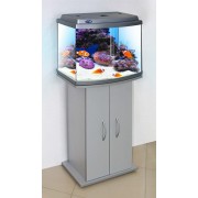 Биодизайн "Классик 50R" Серебряный, 54л