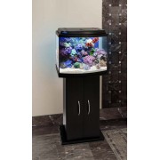 Биодизайн "Классик 50R" Чёрный, 53 л, 50*29*45 см