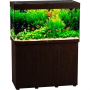 Биодизайн "Риф 240" Венге, 225 л, 101*46*60 см (аквариум)