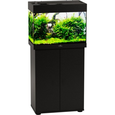 Биодизайн "Риф 60" Чёрный, 60 л, 56*32*44 см (аквариум) Биодизайн "Риф 60" Чёрный, 60 л, 56*32*44 см (аквариум)