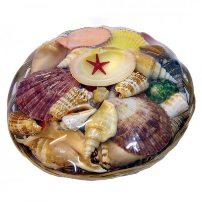 Набор раковин в корзинке M (18 см) Набор раковин в корзинке M (18 см)