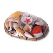 Набор раковин в корзинке S (15 см)