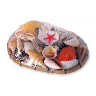 Набор раковин в корзинке S (15 см) Набор раковин в корзинке S (15 см)