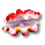 Penn-plax "Раковина гиганская с жемч."распыл.(Декор)