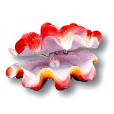 Penn-plax "Раковина гиганская с жемч."распыл.(Декор) Penn-plax "Раковина гиганская с жемч."распыл.(Декор)