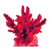 Red Sea "Акропора" красный коралл L (Декор)