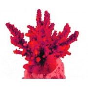 Red Sea "Акропора" розовый коралл M (Декор)