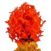 Red Sea "Клавулярия" оранжевый коралл (Декор)