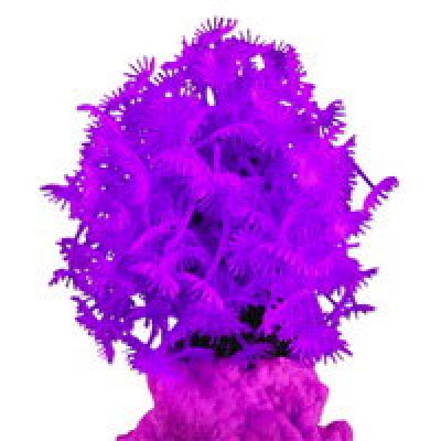 Red Sea "Клавулярия" пурпурный коралл (Декор) Red Sea "Клавулярия" пурпурный коралл (Декор)