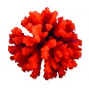 Red Sea "Стилопора" красный коралл  L (Декор)