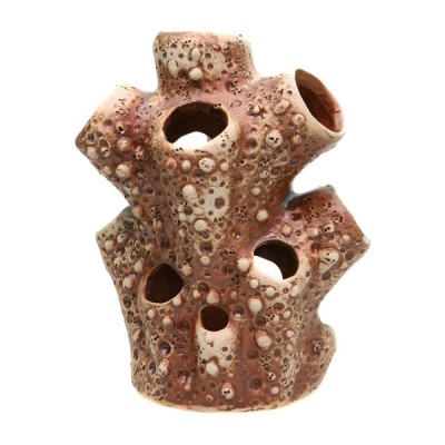 Светлая глина "Актиния большая" Светлая глина "Актиния большая"