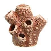 Светлая глина "Актиния малая"