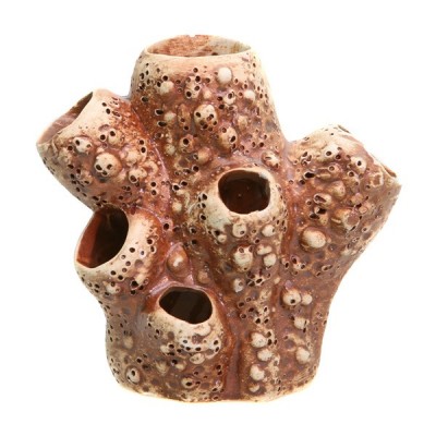 Светлая глина "Актиния малая" Светлая глина "Актиния малая"