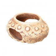 Светлая глина "Амфора Греция"