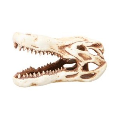 Светлая глина "Череп крокодила" Светлая глина "Череп крокодила"