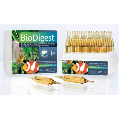 Prodibio "BioDigest" 1 ампула до 1000л.(бактериальный препарат для биофильтрации) Prodibio "BioDigest" 1 ампула до 1000л.(бактериальный препарат для биофильтрации)