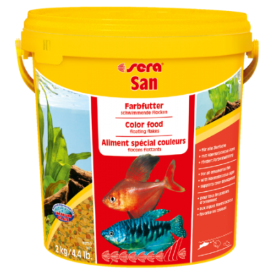 Лагуна "Амбулия Зелёная" 10 см Лагуна "Амбулия Зелёная" 10 см