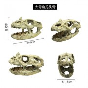 Череп чудовища (1190 р.)