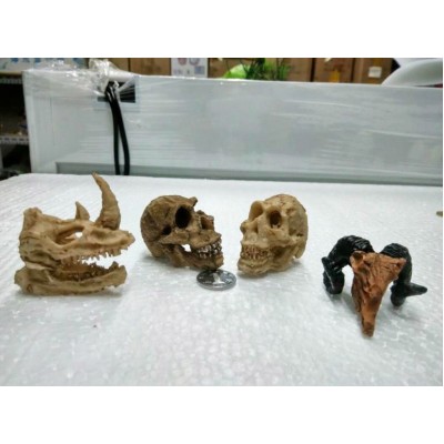 Череп-кроха (190 р.) Череп-кроха (190 р.)