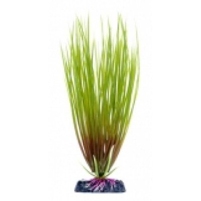 Penn-plax "Гелеохарис с утяжелителем" 18см (растение пластиковое) Penn-plax "Гелеохарис с утяжелителем" 18см (растение пластиковое)