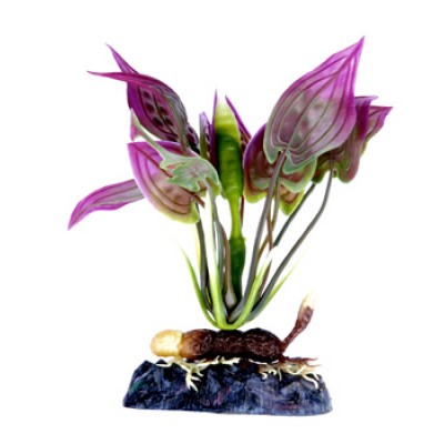 Penn-plax "Криптокорина с утяжелителем" 13см (растение пластиковое) Penn-plax "Криптокорина с утяжелителем" 13см (растение пластиковое)