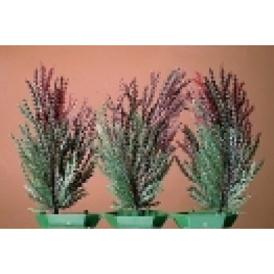 Распылитель белый, 25*30мм (ASW-8909) Распылитель белый, 25*30мм (ASW-8909)