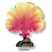 Penn-plax "Удотея зеленая" (Растение)