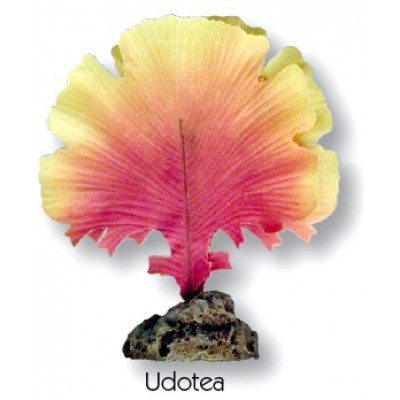 Penn-plax "Удотея зеленая" (Растение) Penn-plax "Удотея зеленая" (Растение)