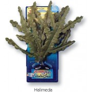 Penn-plax "Халидеда зеленая"шелковое (Растение)