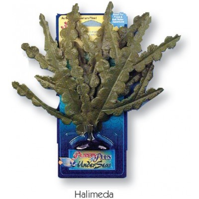 Penn-plax "Халидеда зеленая"шелковое (Растение) Penn-plax "Халидеда зеленая"шелковое (Растение)