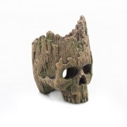 Prime "Череп Лешего"