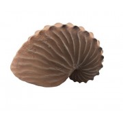 Prime "Ракушка Наутилус"