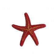 Prime "Морская звезда" 8*7.5*1*5 см