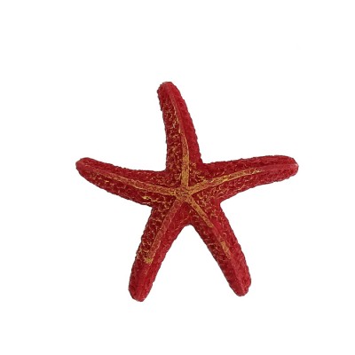 Prime "Морская звезда" 8*7.5*1*5 см Prime "Морская звезда" 8*7.5*1*5 см