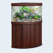 Juwel "Trigon 190 LED" Тёмное Дерево, 190 л, 98.5*70*60 см (аквариум)