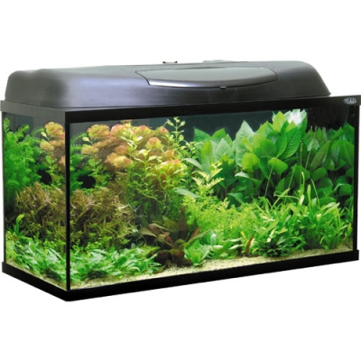 Naribo "Фильтр аэрлифтный S" (губка на присосках) 8,5х5х18,5см Naribo "Фильтр аэрлифтный S" (губка на присосках) 8,5х5х18,5см