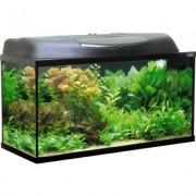 Pearl Set 80 прямой Темное серебро 80*35*40 112л(аквариум)