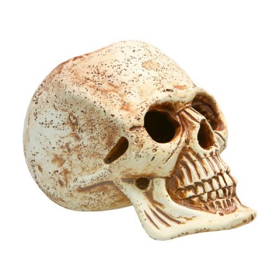 Светлая глина "Череп" Светлая глина "Череп"