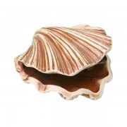 Светлая глина "Гребешок"