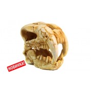 Deksi "Череп динозавра № 1002" 20*10*19 см