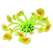 Red Sea "Дискосома" желтый коралл M  (Декор)