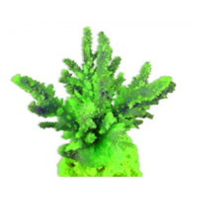 Aleas 25 Вт (нагреватель) Aleas 25 Вт (нагреватель)