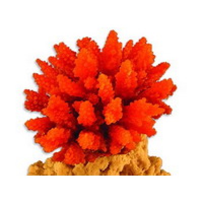 Aleas 50 Вт (нагреватель) Aleas 50 Вт (нагреватель)