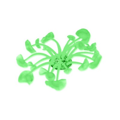 Boyu Отсадник пластиковый большой Boyu Отсадник пластиковый большой