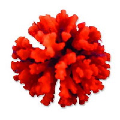 Red Sea "Стилопора" оранжевый коралл маленький (Декор) Red Sea "Стилопора" оранжевый коралл маленький (Декор)