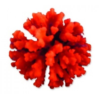 Red Sea "Стилопора" красный коралл маленький (Декор) Red Sea "Стилопора" красный коралл маленький (Декор)