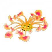 Red Sea "Дискосома" оранжевый коралл L  (Декор)