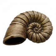 Светлая глина "Наутилус"