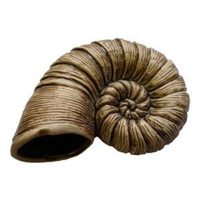 Светлая глина "Наутилус" Светлая глина "Наутилус"